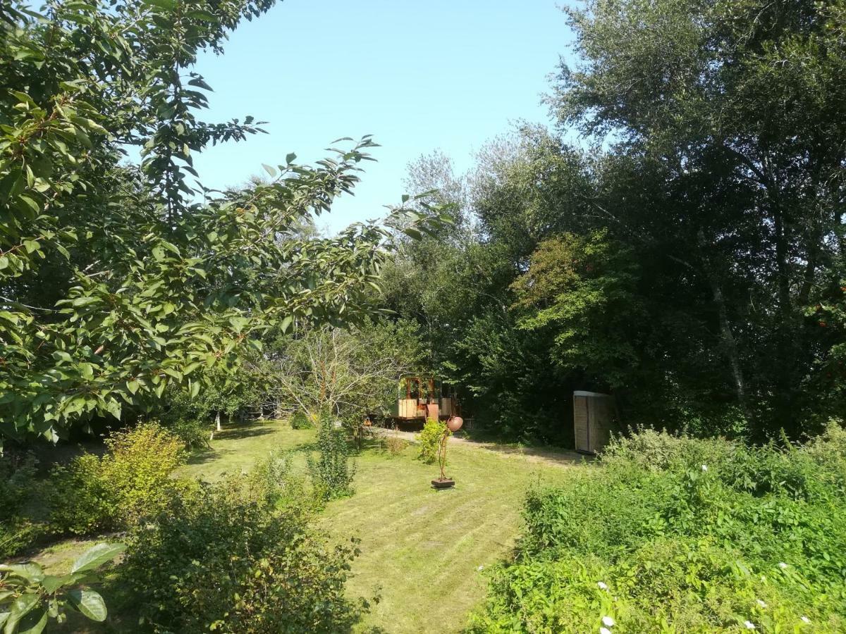 Vegawagen Psyche, Een Sprookje In Coevorden Zewnętrze zdjęcie